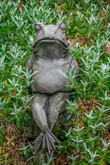 Fototapeta premium Gardenfigure of a frog sitting in a bed of green plants