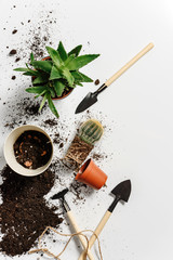 Flat lay composition with indoor flowers, garden tools and loose soil on a white background.