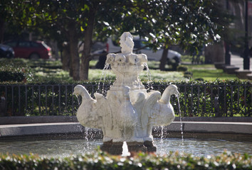 Fuente de patos con agua en Verano