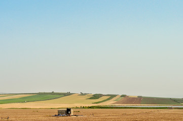 Agricultural Fields Landscape