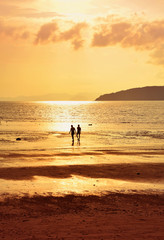 Fototapeta na wymiar Silhouette of two people on sunset sea shore