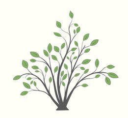 Shrub plants with branches and green leaves of different shapes on isolated on a light background