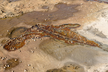 strange drawings on the rocks