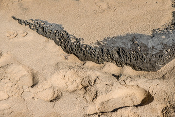 strange drawings on the rocks