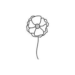 Poppy flower vector illustration isolated on a white background for web and mobile.For greeting cards, birthday cards, mother's day,women's day.