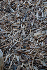 Driftwood from the Snake River