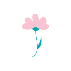 Pink hand drawn flower flat vector icon isolated on a white background
