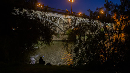 Silueta noche río puente