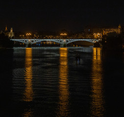 Fototapeta na wymiar Puente noche reflejos luz
