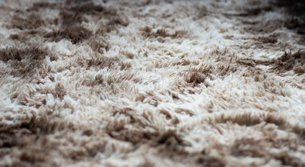 Carpet