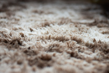 Carpet