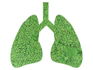 Green Forrest in Human Lung Shaped For Environmental Concept