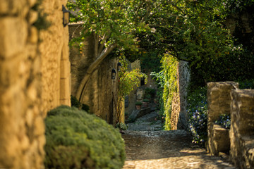 Scenic landscape of old narrow street in one of the most beautiful villages of France Lacoste, Luberon, Vaucluse, Provence with traditional old houses and green trees in summer sunny day. Travel.