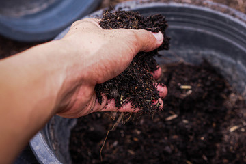 Prepare the soil into pots by hand before planting seedlings. There is a mixed garden, such as coconut meat mixed together and put in a pot. New concepts in agriculture