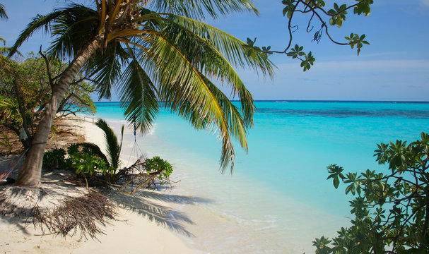 Dream beach with white sand and turquoise waters at Thoddoo island, Maldives