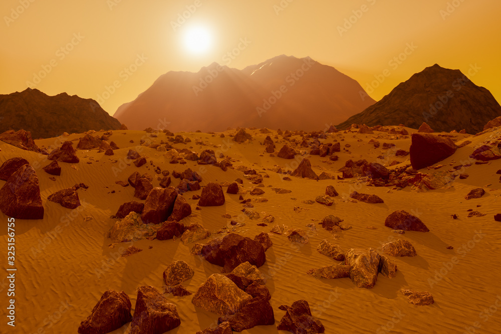 Wall mural a stony desert on the red planet mars (3d rendering)