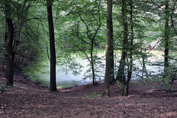 A lake in a mateor crater in a forest in the Morasko meteorite nature reserve, Poland © E-lona