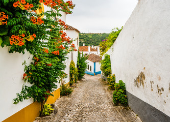 View on Narrow White Blue Street in Mediieval City Obidos Portugal
