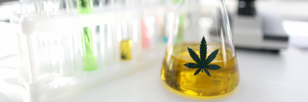 Test Tube With Natural Extract Cbd Oil In Chemisrtry Lab Research Background Closeup. Medical Marijuana Concept