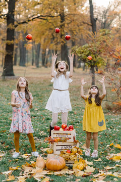 Child Picking Apples On Farm In Autumn. Little Girl Playing In Apple Tree Orchard. Healthy Nutrition.