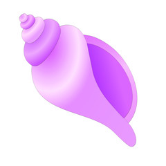 Sea shell isolated vector illustration