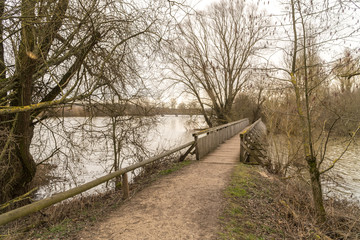 Fototapeta premium Vogelinsel