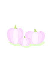 Pink pumpkins. Vector illustration in flat style