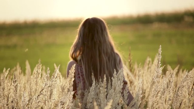 Blurred long-haired girl walking on a wheat field over which moths fly at sunset, deliberate sunlight glare, lens focus on wheat spikelets
