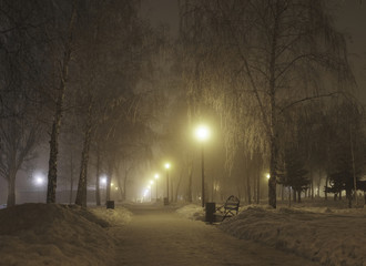 winter night landscape in the park, trees in frost and snow
