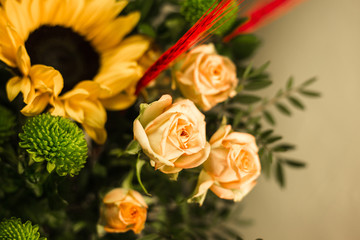  Different flowers macro, background, wallpaper