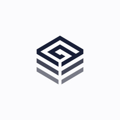 vector letter g cube logo design template