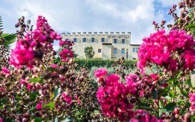 The Botanic Gardens of Trauttmansdorff Castle, Merano, south tyrol, Italy, offer many attractions with botanical species and varieties of plants