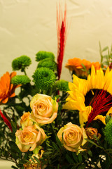  Different flowers macro, background, wallpaper