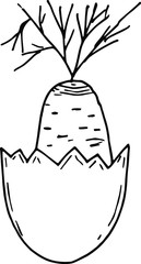 Single cute drawing for Easter holiday. Carrots in the shell from the egg. Hand-drawn drawings. Can be used for cover design, poster, poster, decoupage, postcard, things.