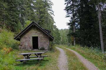 Cabin in the forest