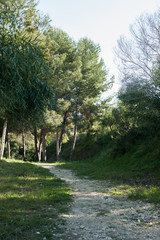 Naturaleza