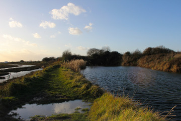 Fototapeta premium The path ahead