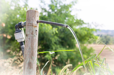 plumbing pipe used as a water fountain in the countryside