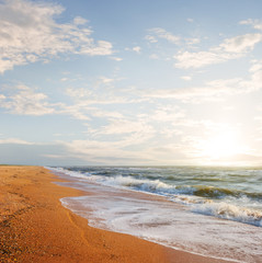summer sandy sea beach landscape