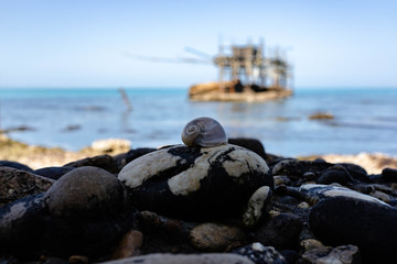 Trabocchi in lontananza