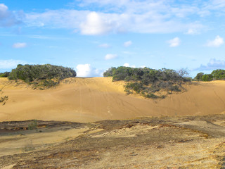 Landscape at Lake Wabby at Fraser Island Queensland Australia 