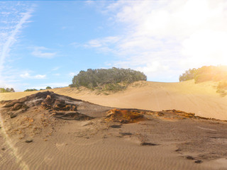 Fototapeta na wymiar Landscape at Lake Wabby at Fraser Island Queensland Australia 