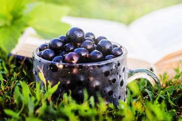 Black currant in a glass cup on the grass near an open book_