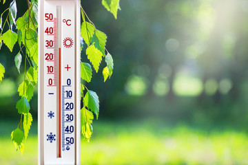 The thermometer on the background of birch branches in sunny weather shows 30 degrees heat_
