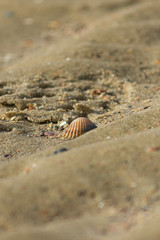  Beach goods
