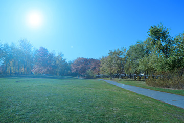 The sun shines over the green, dark trees. Evening cold landscape.