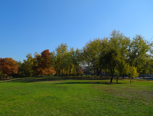 View of many trees in the green Park.