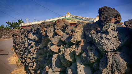 제주 돌담 풍경