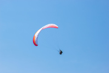 Paraglider is flying in the sky. sunny day