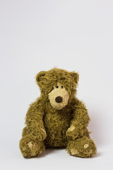 toy cute teddy bear winy pooh